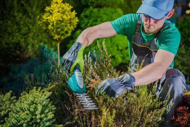 landscaping services Northwest Ithaca